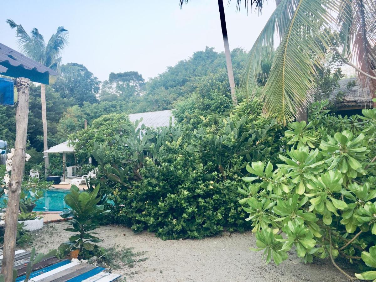 Lamai Chalet Amphoe Koksamui Exteriör bild